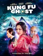 Watch Kung Fu Ghost Alluc