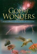 Watch God of Wonders Alluc