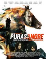 Watch Purasangre Alluc