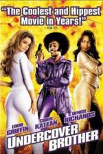 Watch Undercover Brother Alluc