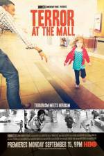 Watch Terror at the Mall Alluc