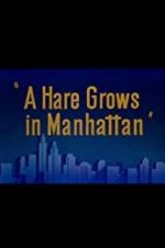 Watch A Hare Grows in Manhattan Alluc