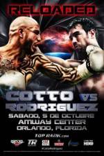 Watch Miguel Cotto vs Delvin Rodriguez Alluc