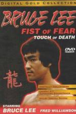 Watch Fist of Fear Touch of Death Alluc