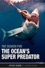 Watch The Search for the Oceans Super Predator Alluc