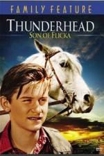 Watch Thunderhead - Son of Flicka Alluc