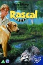 Watch Rascal Alluc