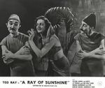 Watch A Ray of Sunshine: An Irresponsible Medley of Song and Dance Alluc
