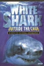 Watch National Geographic white shark:outside the cage Alluc