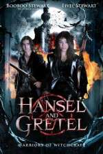 Watch Hansel & Gretel: Warriors of Witchcraft Alluc