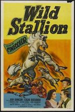 Watch Wild Stallion Alluc