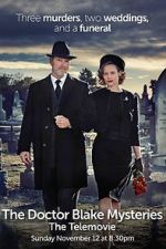 Watch The Doctor Blake Mysteries: Family Portrait Alluc