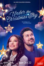 Watch Under the Christmas Sky Online Alluc
