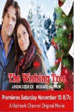 Watch The Wishing Tree Alluc