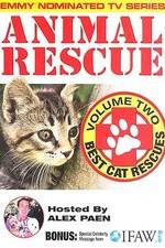 Watch Animal Rescue, Volume 2: Best Cat Rescues Alluc