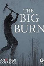 Watch American Experience: The Big Burn Alluc