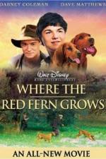 Watch Where the Red Fern Grows Alluc