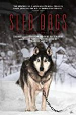 Watch Sled Dogs Alluc