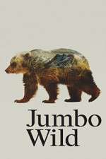Watch Jumbo Wild Alluc