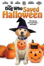 Watch The Dog Who Saved Halloween Alluc