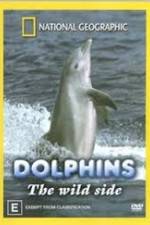 Watch Dolphins: The Wild Side Alluc