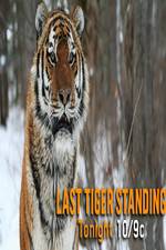 Watch Discovery Channel-Last Tiger Standing Alluc