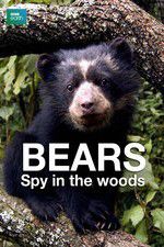 Watch Bears: Spy in the Woods Alluc