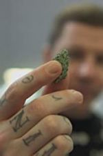 Watch Professor Green: Is It Time to Legalise Weed? Alluc