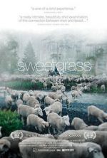Watch Sweetgrass Alluc