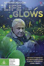 Watch Attenborough\'s Life That Glows Alluc