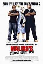 Watch Malibu's Most Wanted Alluc