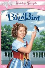 Watch The Blue Bird Alluc