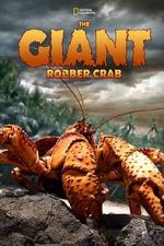 Watch The Giant Robber Crab Alluc
