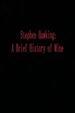 Watch Stephen Hawking A Brief History of Mine Alluc