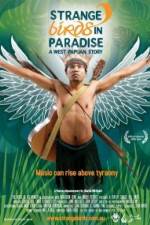 Watch Strange Birds in Paradise A West Papuan Story Alluc