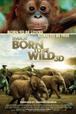 Watch Born to Be Wild Alluc