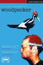 Watch Woodpecker Alluc