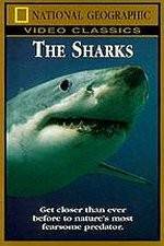 Watch National Geographic The Sharks Alluc