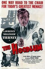 Watch The Hoodlum Alluc