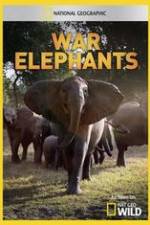Watch War Elephants Alluc