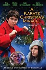 Watch A Karate Christmas Miracle Alluc
