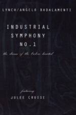 Watch Industrial Symphony No 1 The Dream of the Brokenhearted Alluc