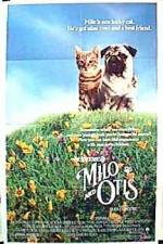 Watch Milo and Otis Alluc