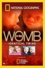 Watch National Geographic: In the Womb - Identical Twins Alluc