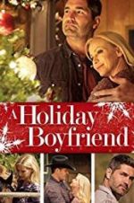 Watch A Holiday Boyfriend Alluc