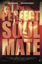 Watch The Perfect Soulmate Alluc