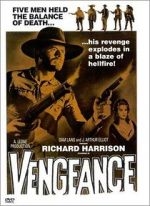 Watch Vengeance Alluc