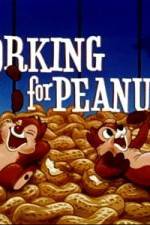 Watch Working For Peanuts Alluc