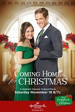 Watch Coming Home for Christmas Alluc