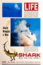 Watch Shark Alluc